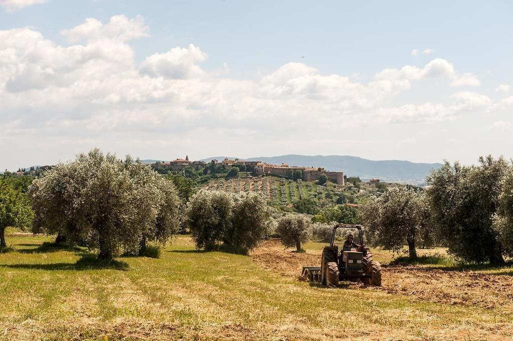 Tenuta Campospillo Мальяно-ін-Тоскана Екстер'єр фото