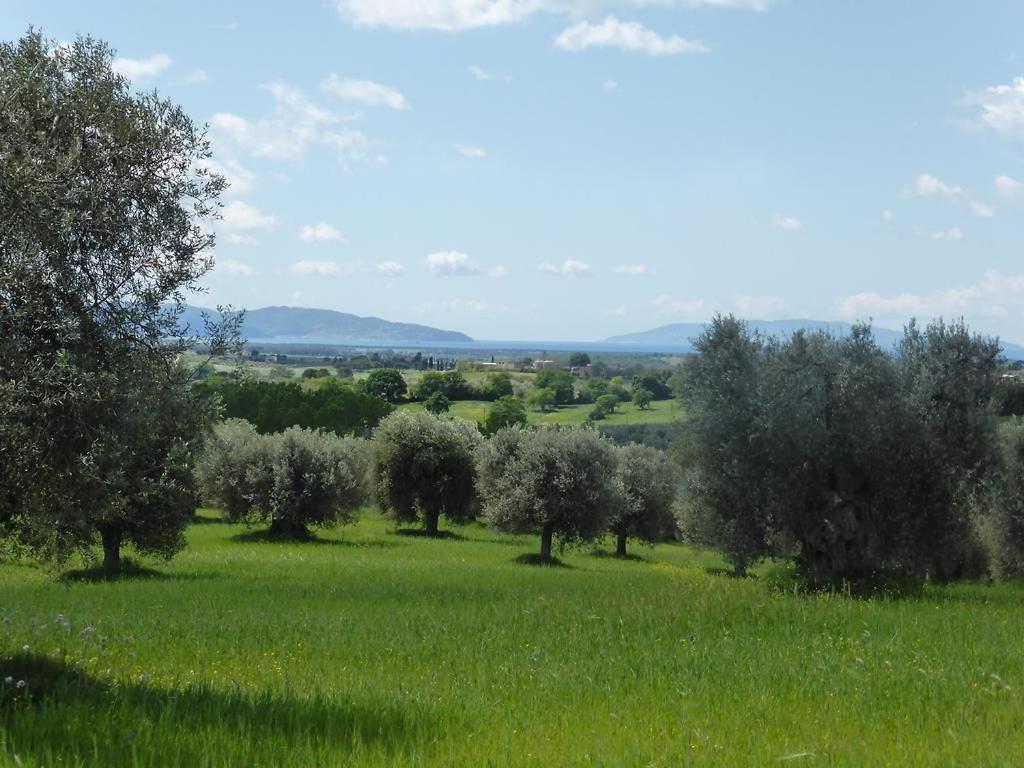 Tenuta Campospillo Мальяно-ін-Тоскана Екстер'єр фото